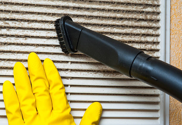 Best Mold and Mildew Removal from Ducts in Needles, CA